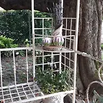 Maison Elena *